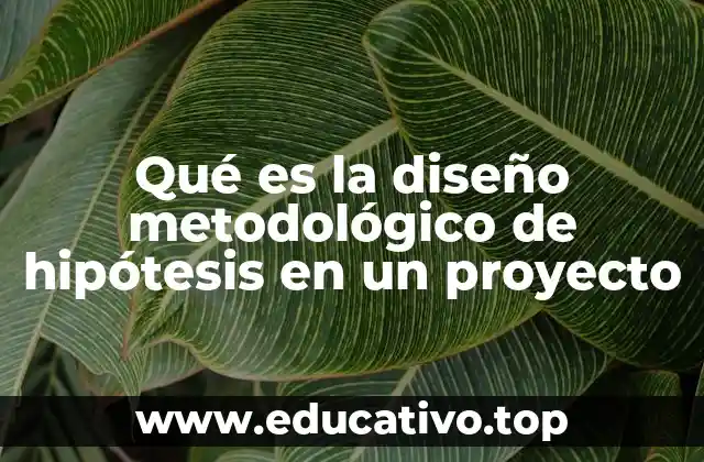 Qué es la diseño metodológico de hipótesis en un proyecto