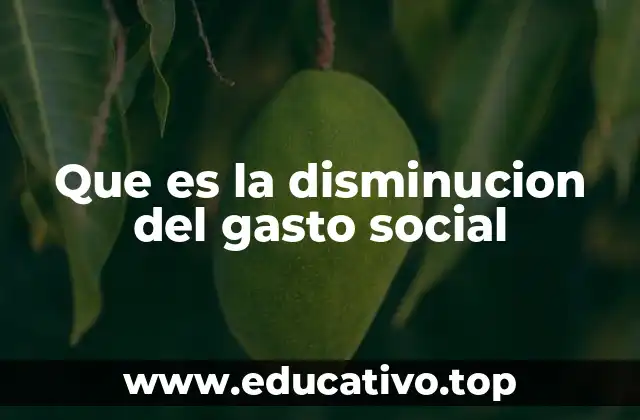 Que es la disminucion del gasto social