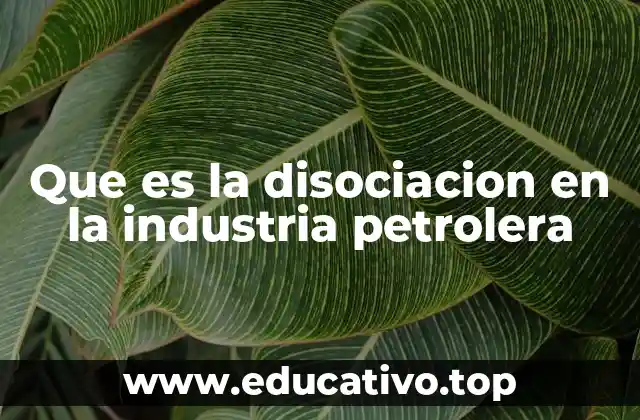 Que es la disociacion en la industria petrolera