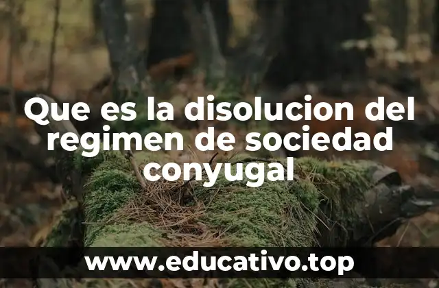 Que es la disolucion del regimen de sociedad conyugal