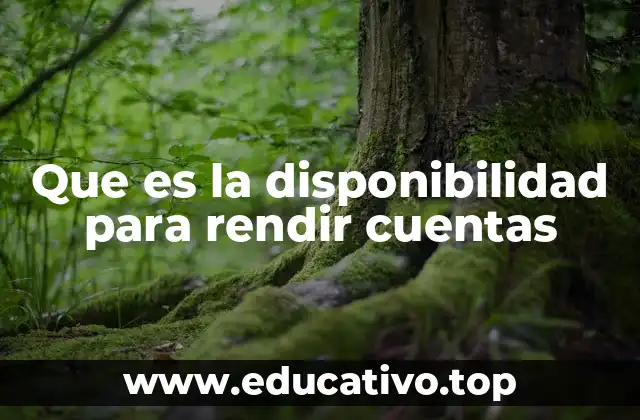 Que es la disponibilidad para rendir cuentas