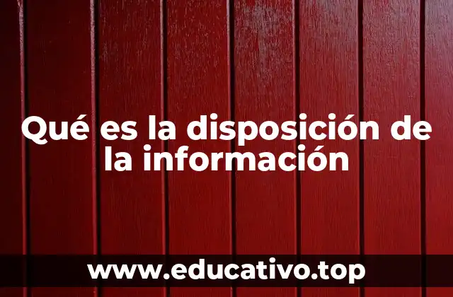 Qué es la disposición de la información