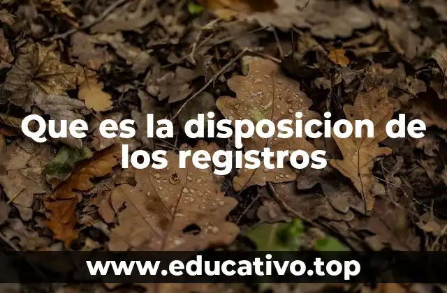 Que es la disposicion de los registros