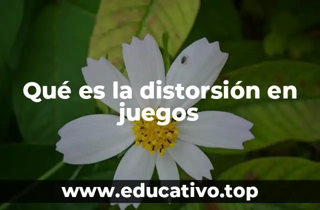 Qué es la distorsión en juegos