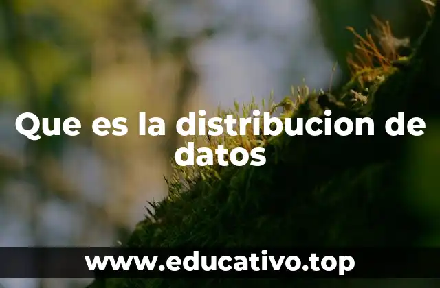 Que es la distribucion de datos