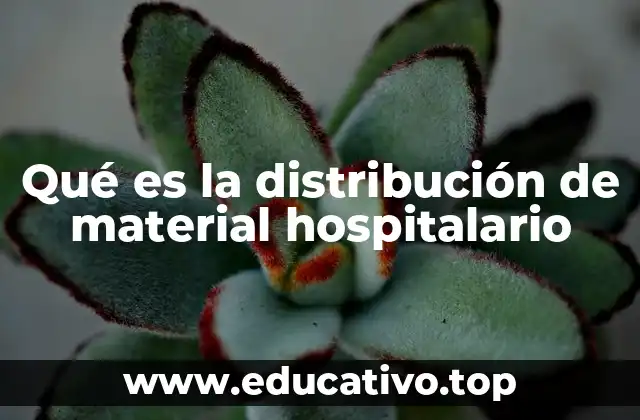 Qué es la distribución de material hospitalario