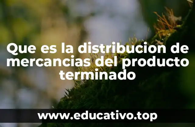 Que es la distribucion de mercancias del producto terminado