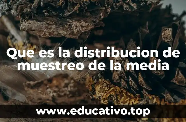 Cómo la distribución de muestreo de la media se relaciona con la inferencia estadística