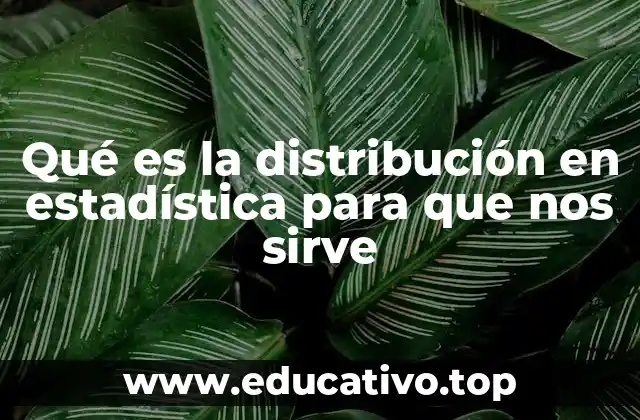 Qué es la distribución en estadística para que nos sirve