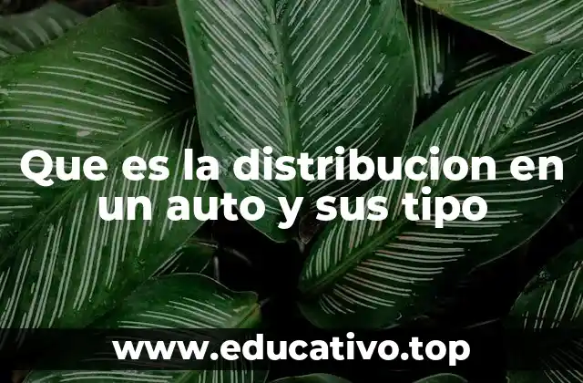 Que es la distribucion en un auto y sus tipo