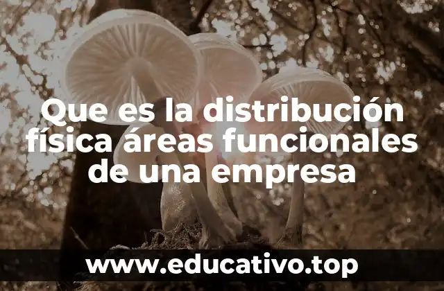 Que es la distribución física áreas funcionales de una empresa