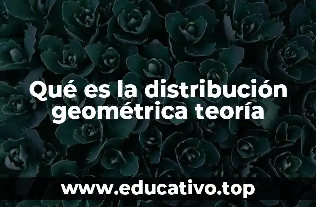 Qué es la distribución geométrica teoría