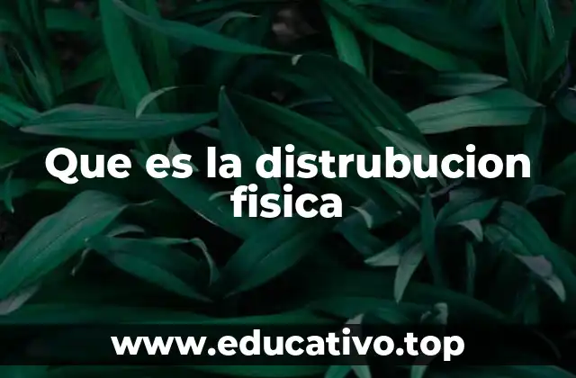 El papel de la distribución física en la cadena de suministro