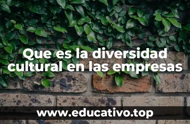 Que es la diversidad cultural en las empresas
