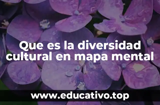Que es la diversidad cultural en mapa mental