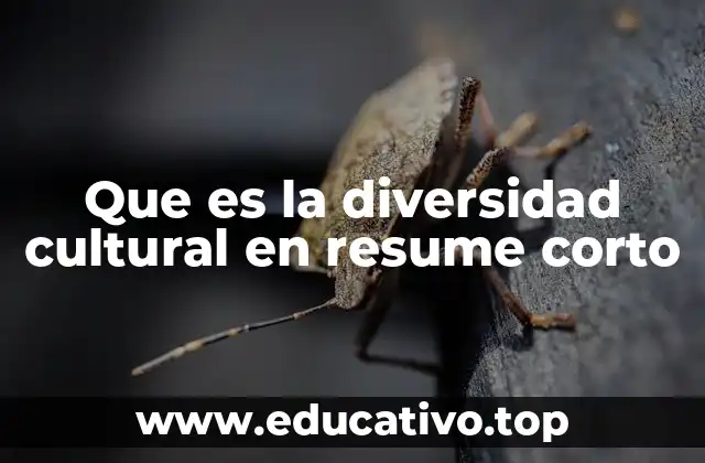 Que es la diversidad cultural en resume corto