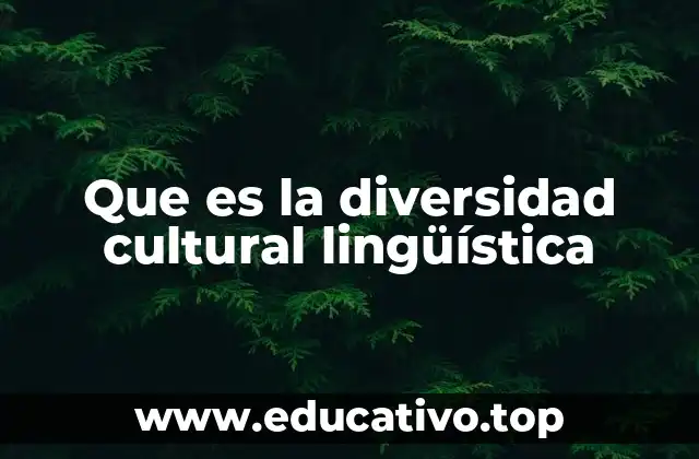 La riqueza de las expresiones culturales y lenguas