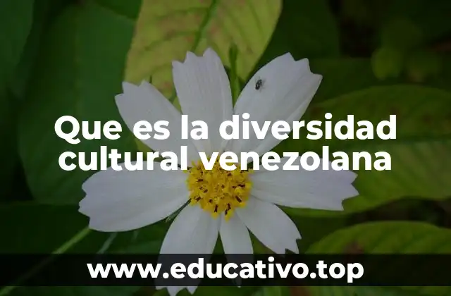 Que es la diversidad cultural venezolana