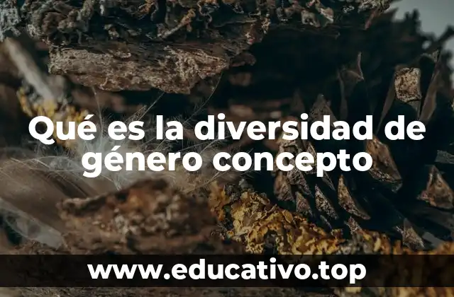 Qué es la diversidad de género concepto