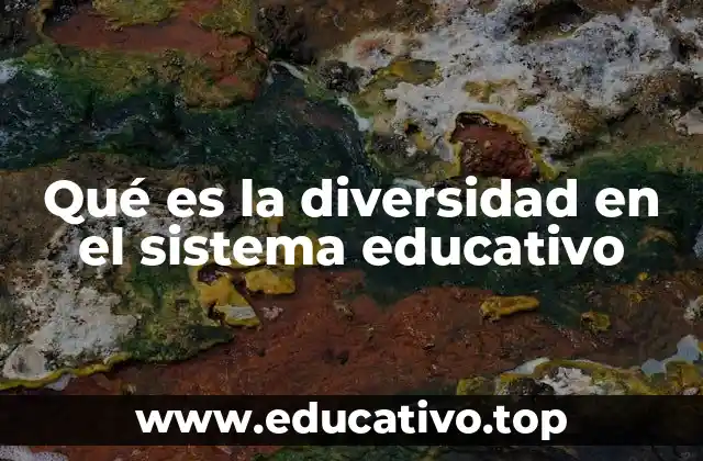 Qué es la diversidad en el sistema educativo