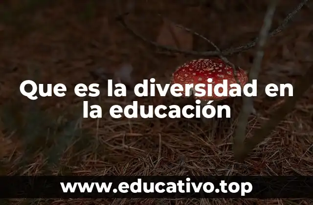 Que es la diversidad en la educación