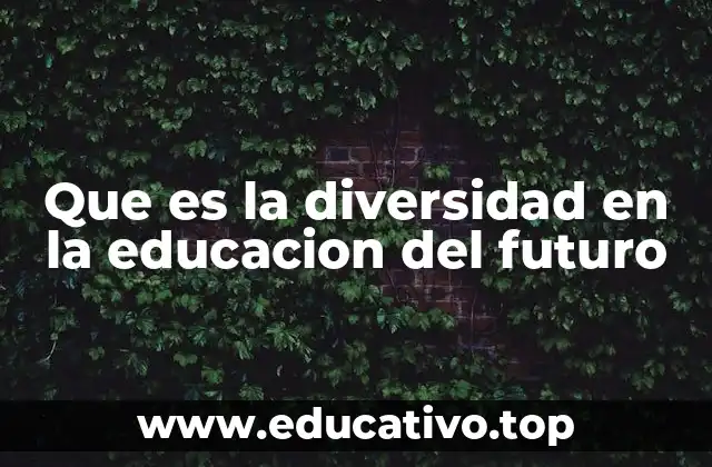 Que es la diversidad en la educacion del futuro