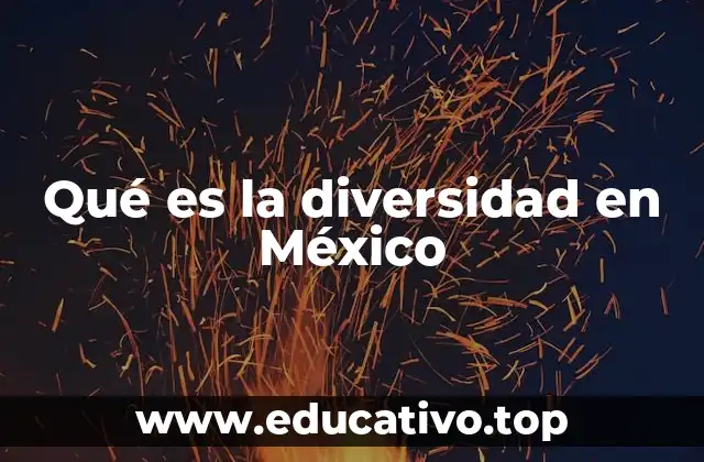Qué es la diversidad en México