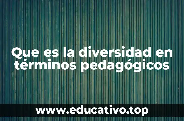 Que es la diversidad en términos pedagógicos