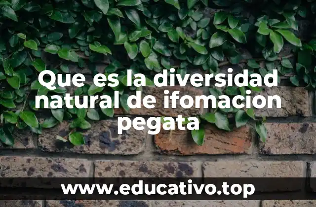 Que es la diversidad natural de ifomacion pegata