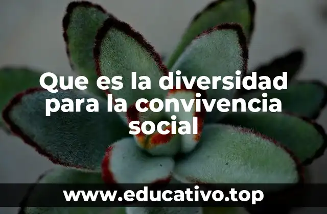 Que es la diversidad para la convivencia social