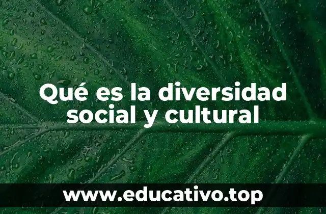 Qué es la diversidad social y cultural