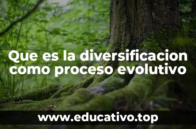 Que es la diversificacion como proceso evolutivo