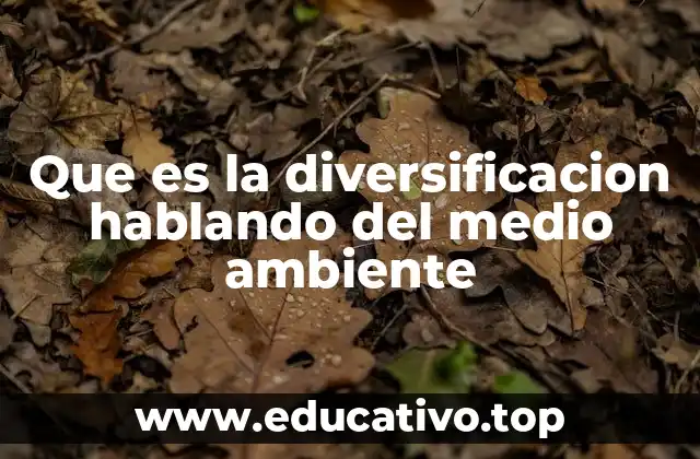 Que es la diversificacion hablando del medio ambiente