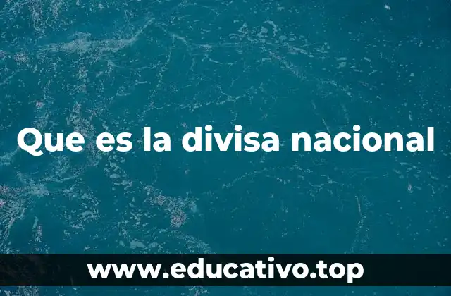 Que es la divisa nacional