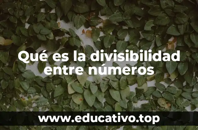 Qué es la divisibilidad entre números