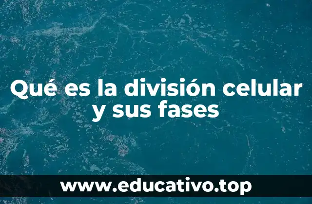 El proceso que permite la multiplicación celular