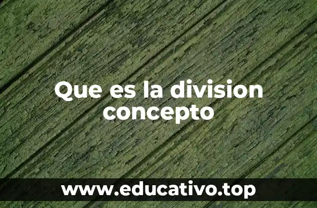 Que es la division concepto