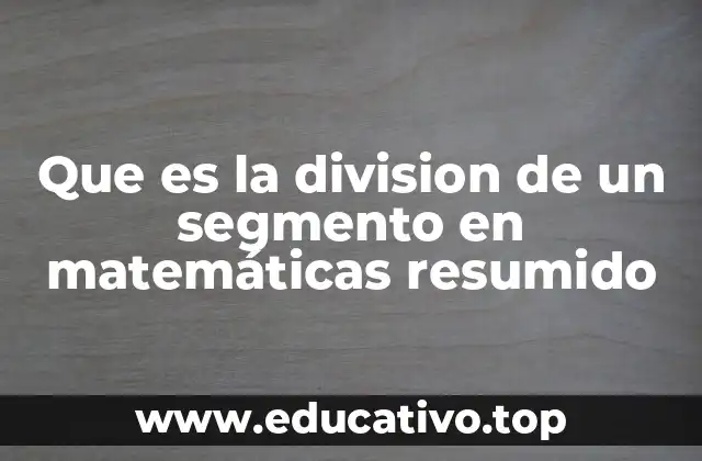 Que es la division de un segmento en matemáticas resumido