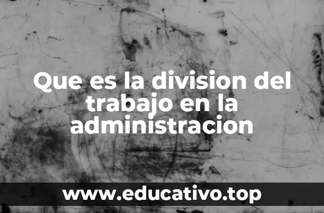 Que es la division del trabajo en la administracion