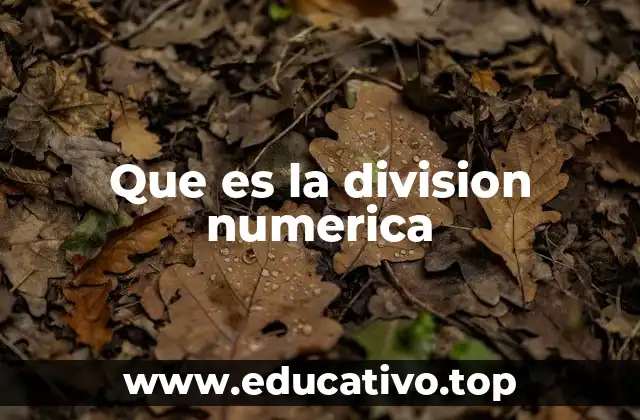 Que es la division numerica