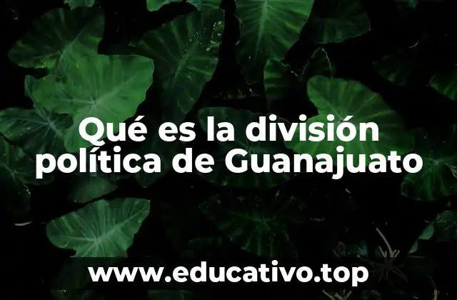 Qué es la división política de Guanajuato