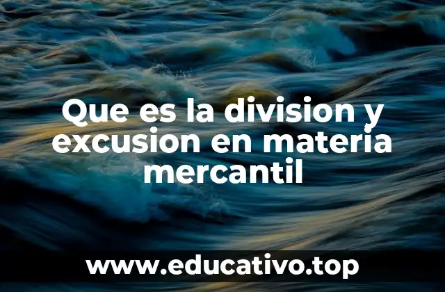 Que es la division y excusion en materia mercantil