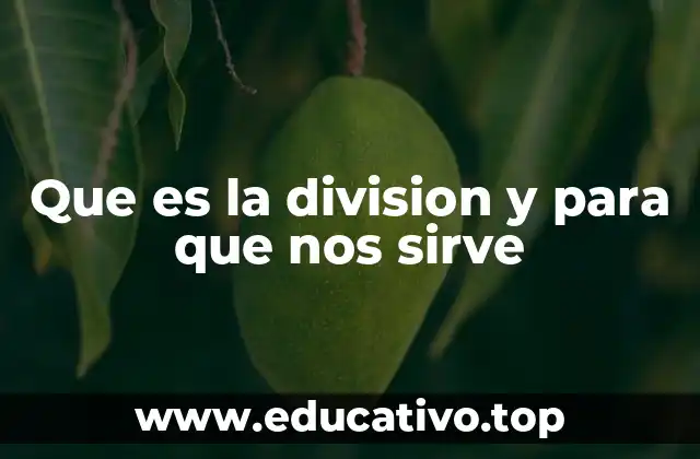 Que es la division y para que nos sirve