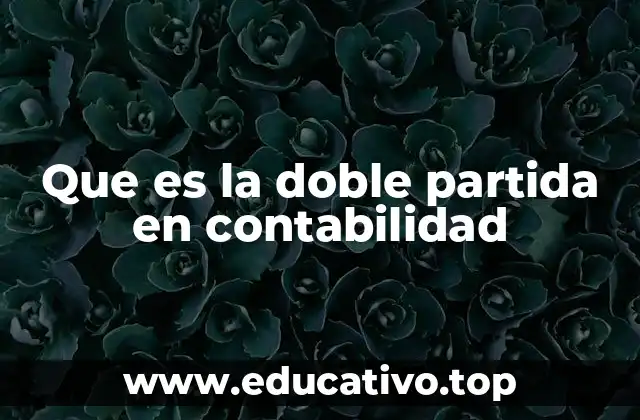 Que es la doble partida en contabilidad