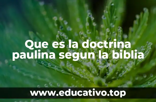Que es la doctrina paulina segun la biblia