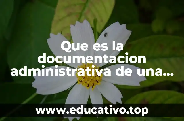 Que es la documentacion administrativa de una empresa