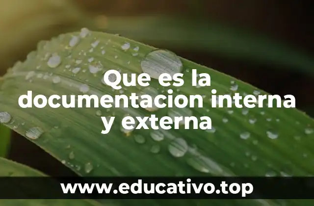 Que es la documentacion interna y externa