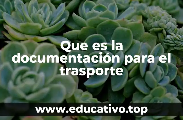 Que es la documentación para el trasporte