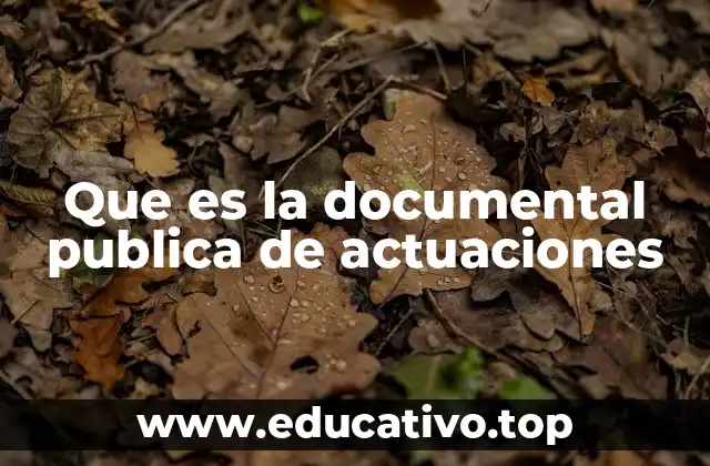 Que es la documental publica de actuaciones