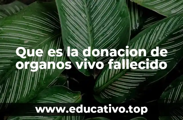 Que es la donacion de organos vivo fallecido